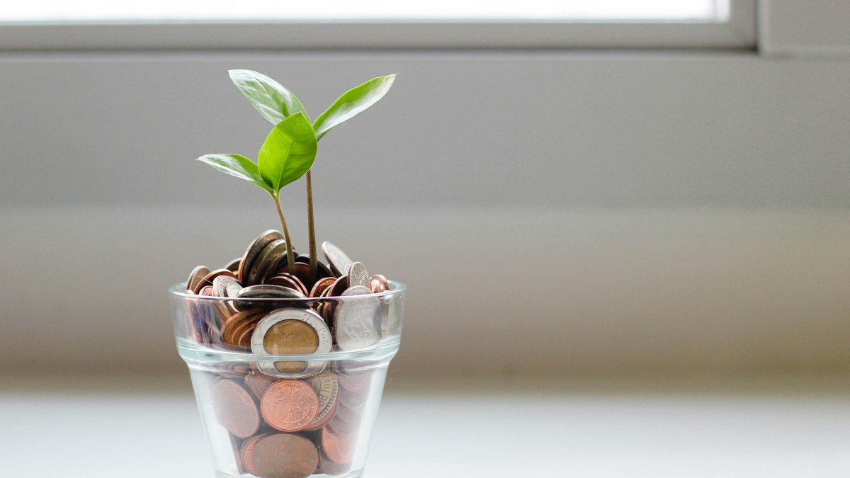 Green seedling growing above coins in a glass