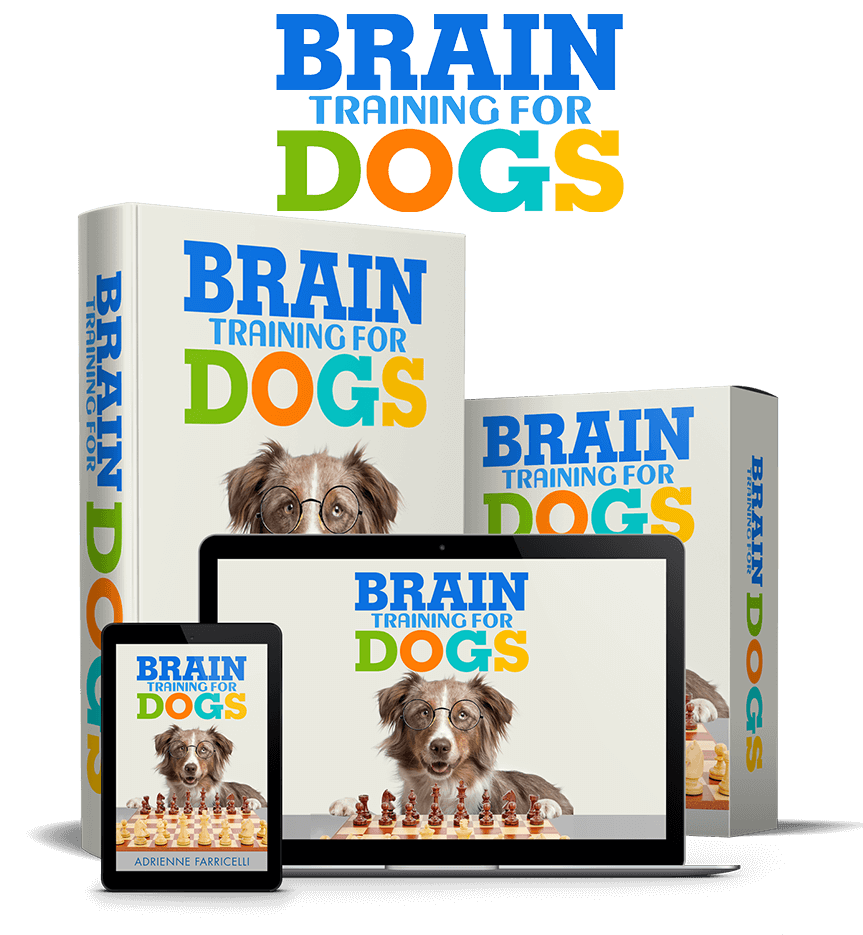 Brain Training for Dogs digital course materials
