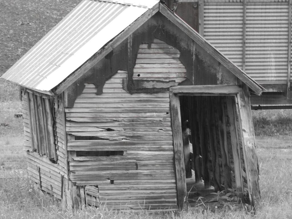 Wooden shed for kit versus plans comparison