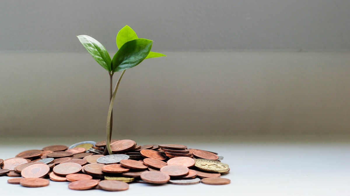 Seedling above a pile of coins