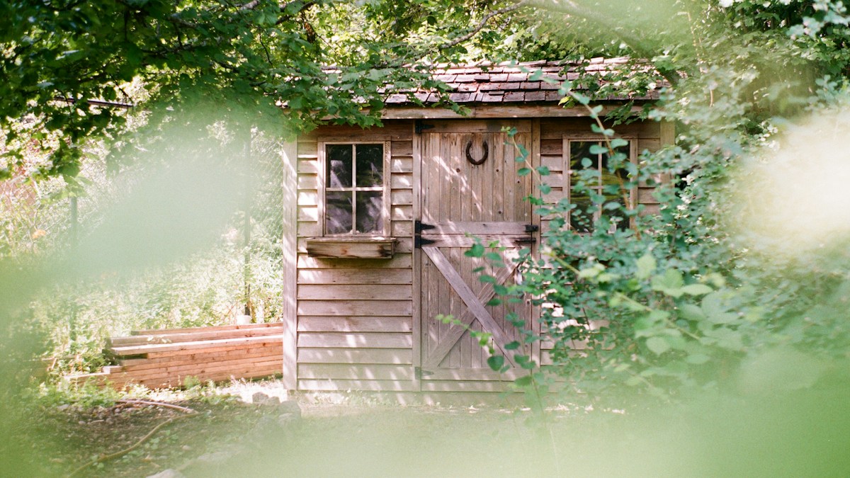 Brown wooden garden shed surrounded by trees