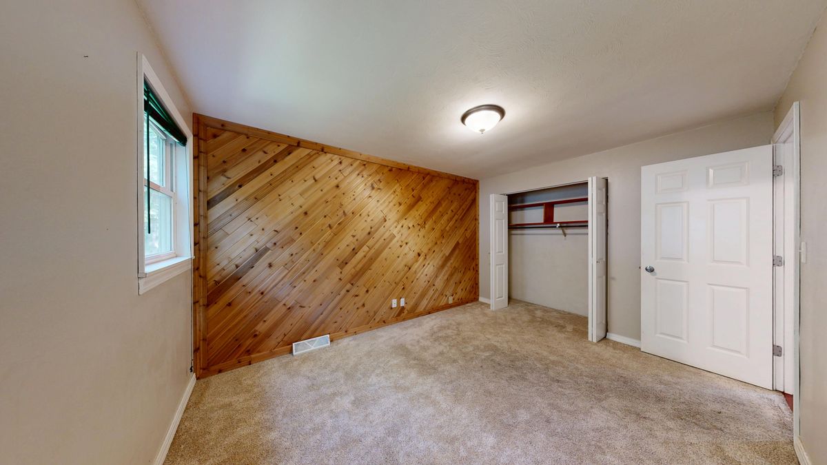 A spacious room with a wood-plank accent wall illustrates the material's strong grain and warmth