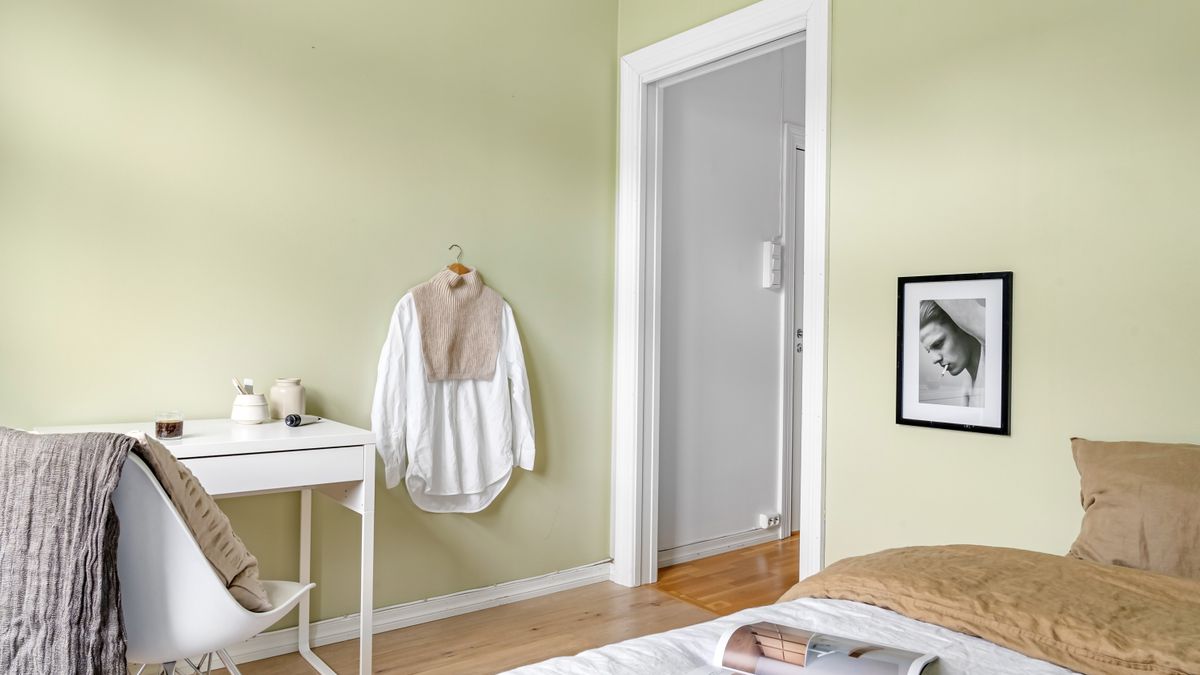 A subdued green painted wall behind a simple bedroom arrangement