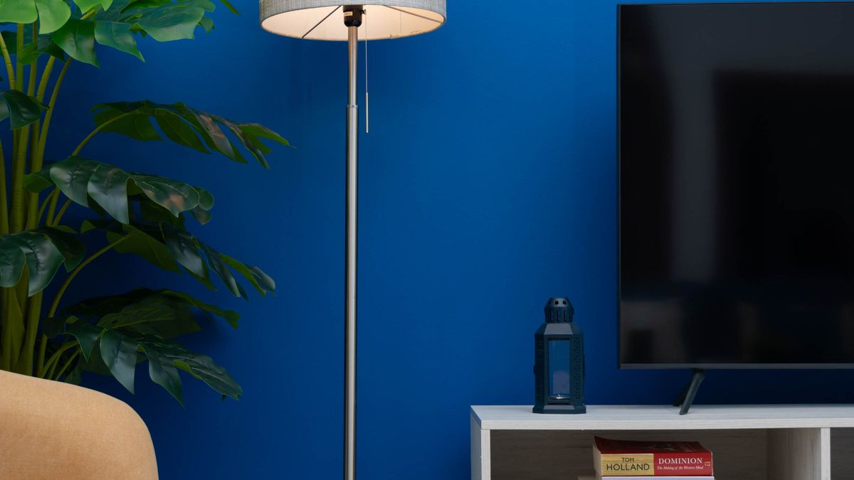 A contemporary lounge with a painted blue focal wall, seating and a TV