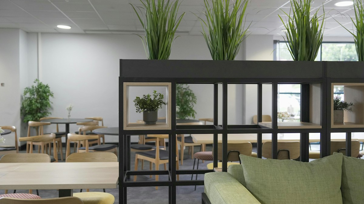 Black cube bookshelf used as a room divider with plants on top and a green sofa nearby