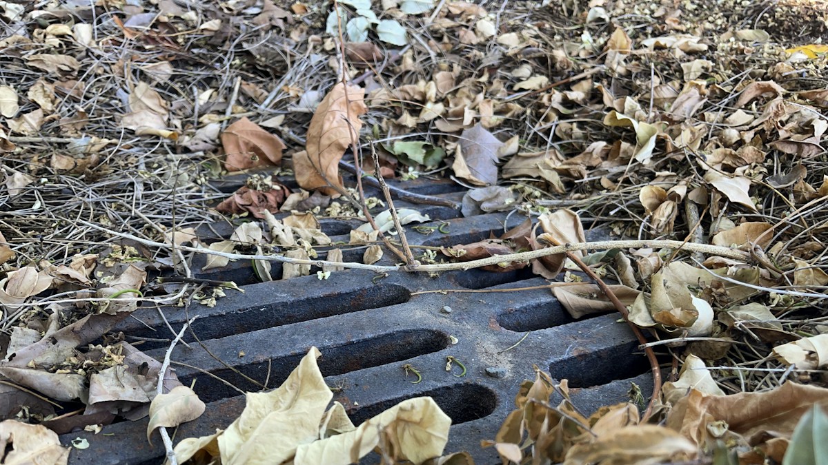 Outdoor drain access in a residential setting